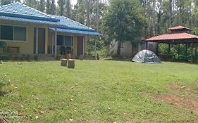 Villa Vibes